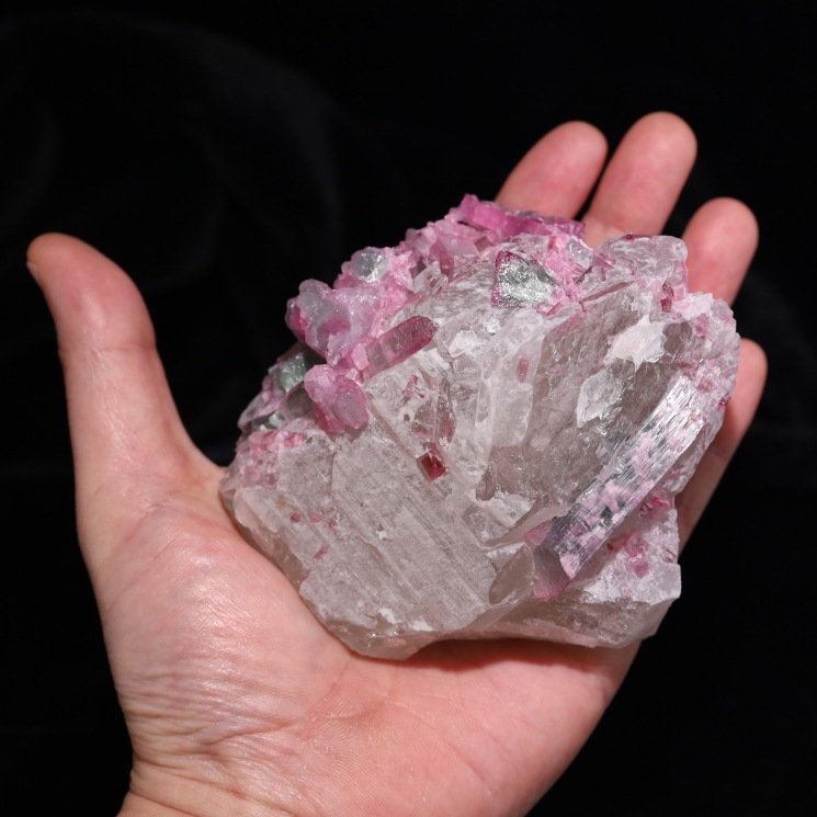 �ڴ����ʡۥХ����顼�ȥ�ޥ���� - ���м��뾽 ����դ� ��Special Edition(�������)