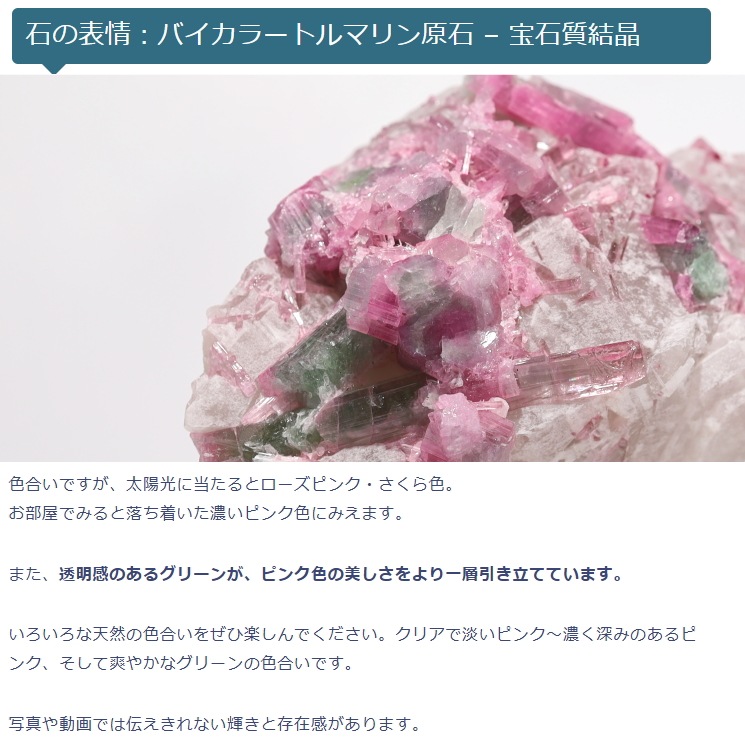 �ڴ����ʡۥХ����顼�ȥ�ޥ���� - ���м��뾽 ����դ� ��Special Edition(�������)