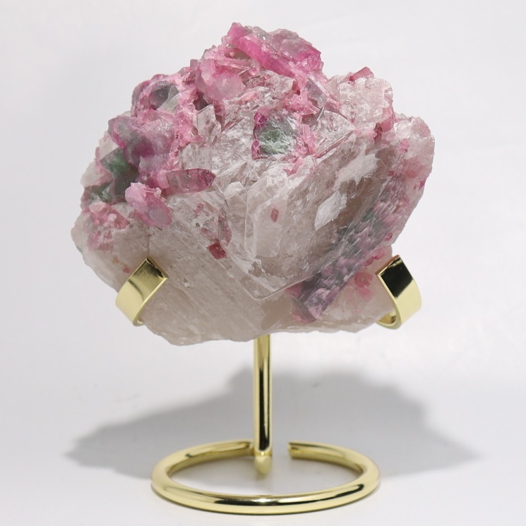 �ڴ����ʡۥХ����顼�ȥ�ޥ���� - ���м��뾽 ����դ� ��Special Edition(�������)