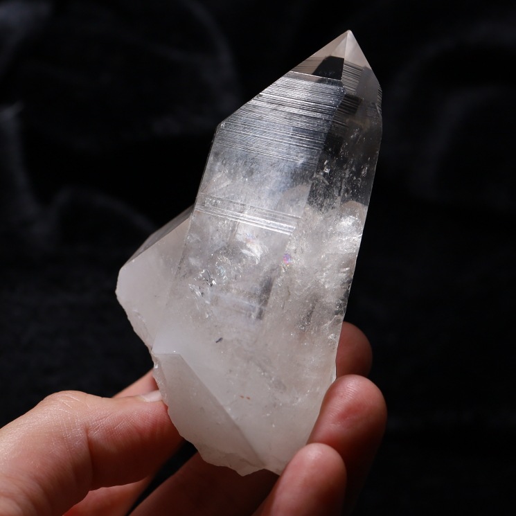 ꥢ󥷡ɿ徽ݥ ʼ ֥뻺 (Serra do Cabral) No56