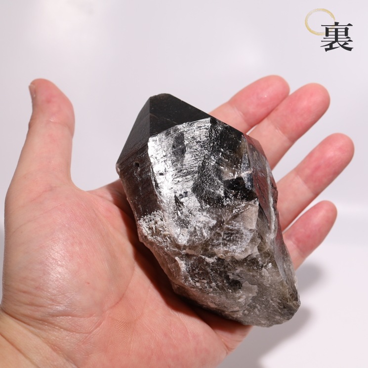 ���徽�ʥ�ꥪ��˥��饹���� No56