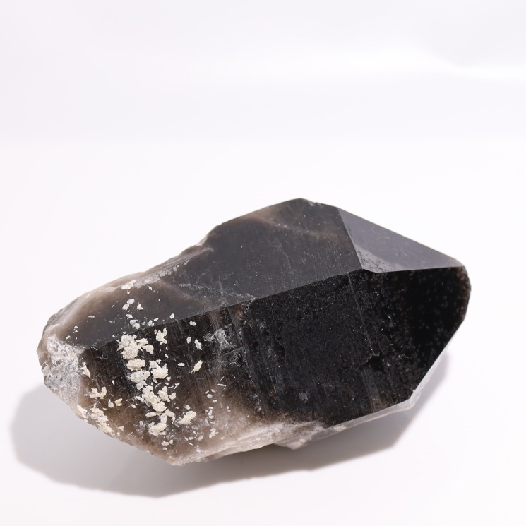 ���徽�ʥ�ꥪ��˥��饹���� No56
