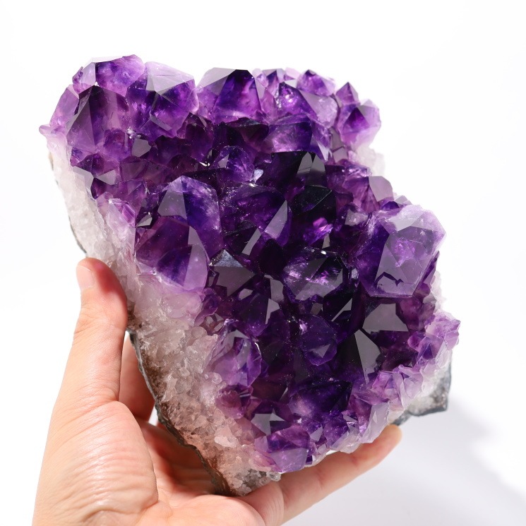 �ڵ�ˤ����� ���᥸���ȥ��饹�����ǹ����