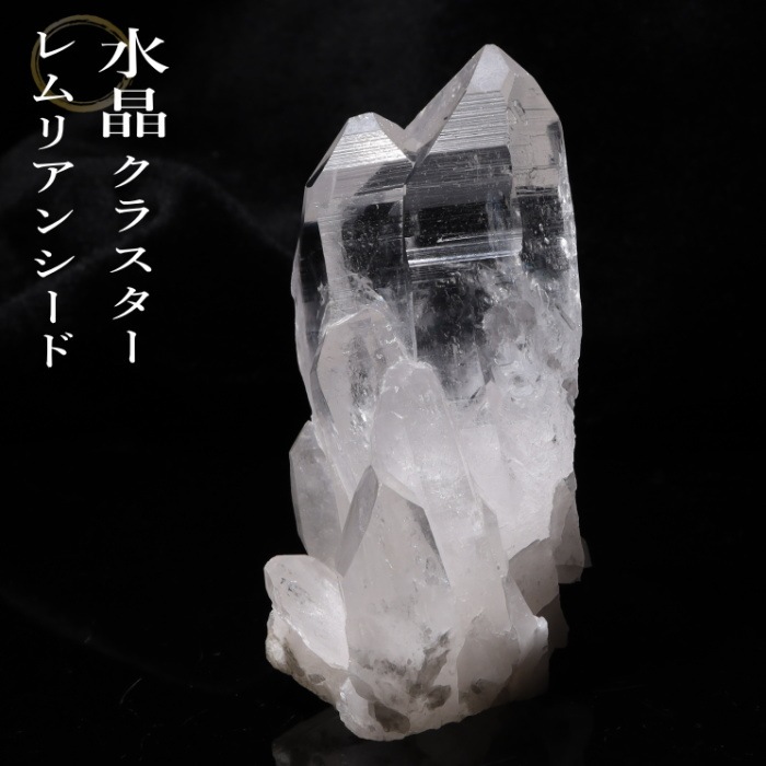 ꥢ󥷡ɿ徽饹Х (Bahia) no