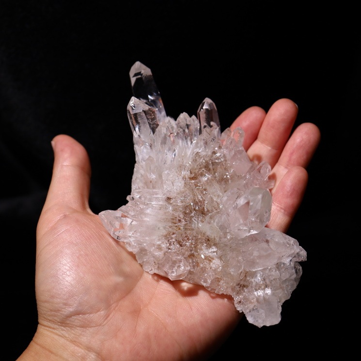 no36  �ȥޥ����󥵥��� �徽���饹���� ���ʼ�