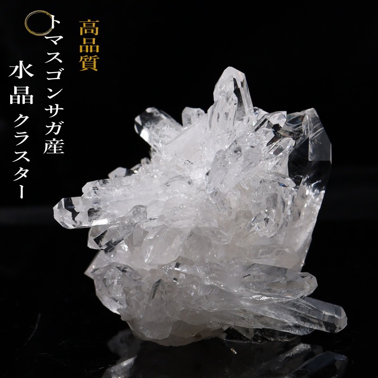 no42  �ȥޥ����󥵥��� �徽���饹���� ���ʼ�