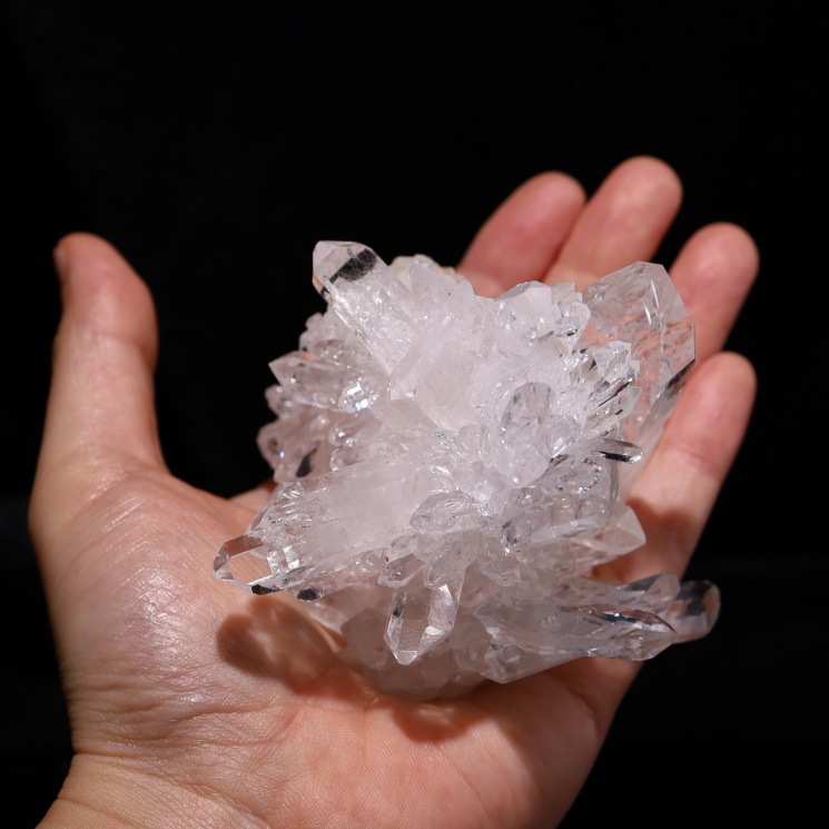 no42  �ȥޥ����󥵥��� �徽���饹���� ���ʼ�