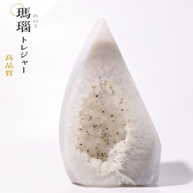 �ȥ쥸�㡼���� �᤭