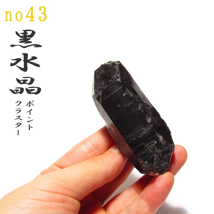 ���徽�ʥ�ꥪ��˥��饹�����ʥݥ���ȡ�