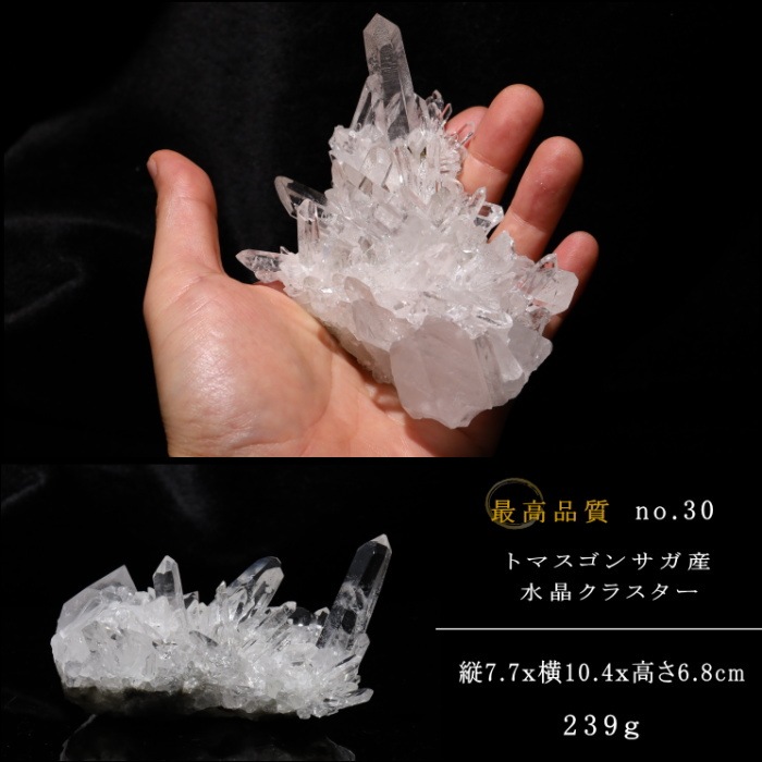 no30  �ȥޥ����󥵥��� �徽���饹���� �ǹ��ʼ�