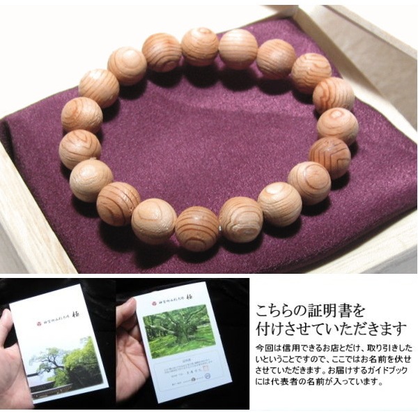 �������� ������� ��������֥쥹  �������� (��) (���ܸ滳������)