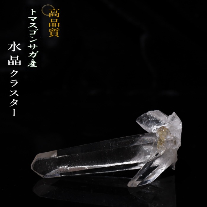 no21  �ȥޥ����󥵥��� �徽���饹���� ���ʼ�