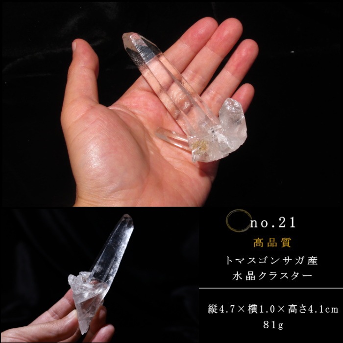 no21  �ȥޥ����󥵥��� �徽���饹���� ���ʼ�