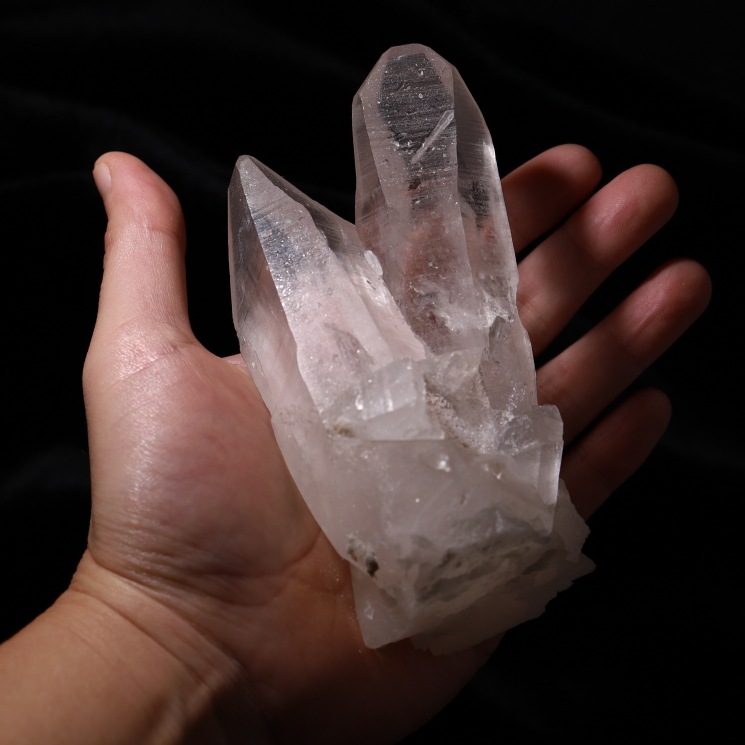 ���ꥢ�󥷡��ɿ徽���饹���� ���դ����Х����� (Bahia) no5