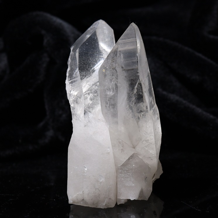 ���ꥢ�󥷡��ɿ徽���饹���� ���դ����Х����� (Bahia) no5