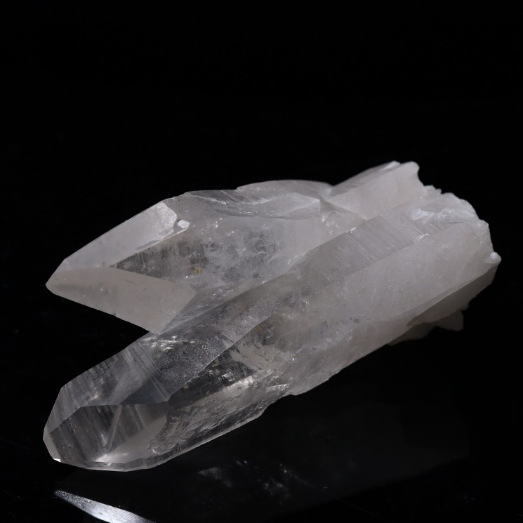 ���ꥢ�󥷡��ɿ徽���饹���� ���դ����Х����� (Bahia) no5