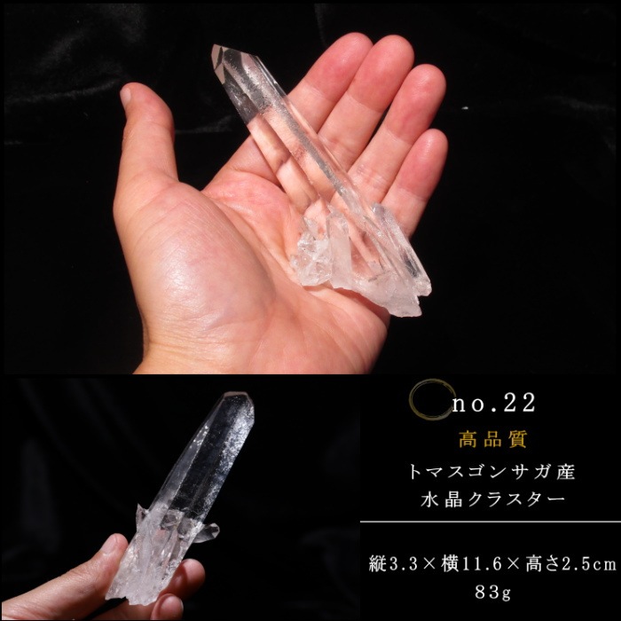 no22  �ȥޥ����󥵥��� �徽���饹���� ���ʼ�