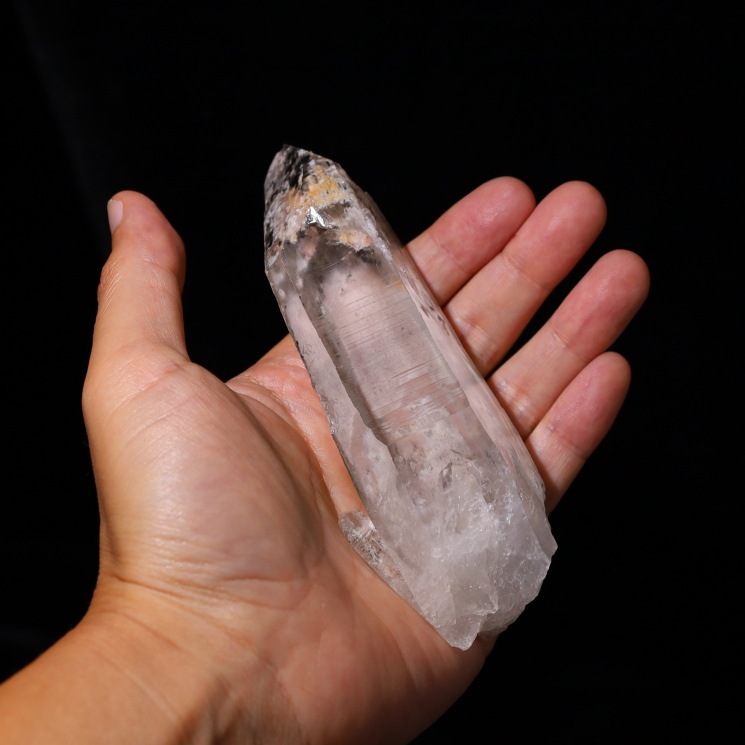 No�� �����ǥ���ꥢ�󥷡��ɿ徽�ݥ���ȡ����֥�뻺 (Serra do Cabral)