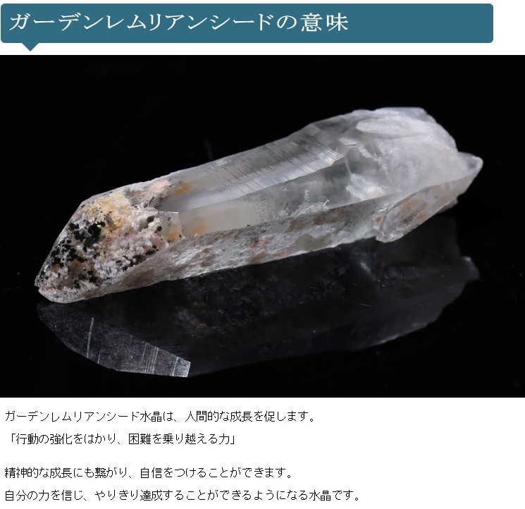 No�� �����ǥ���ꥢ�󥷡��ɿ徽�ݥ���ȡ����֥�뻺 (Serra do Cabral)