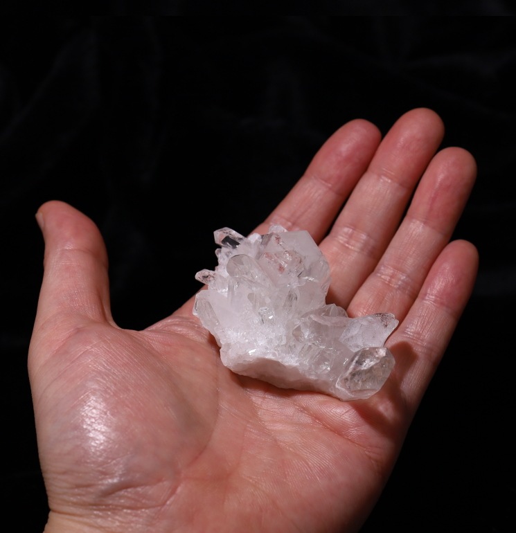 No52  �ȥޥ����󥵥��� �徽���饹���� ���ʼ�