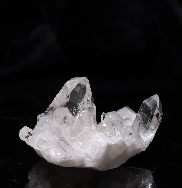 No52  �ȥޥ����󥵥��� �徽���饹���� ���ʼ�