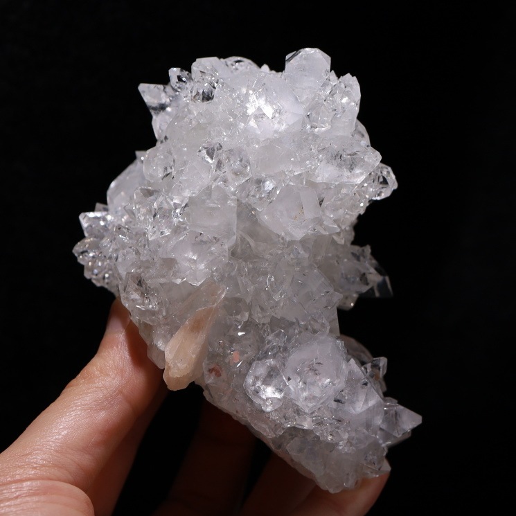 ���ݥե��饤�ȷ뾽���� �ǹ����