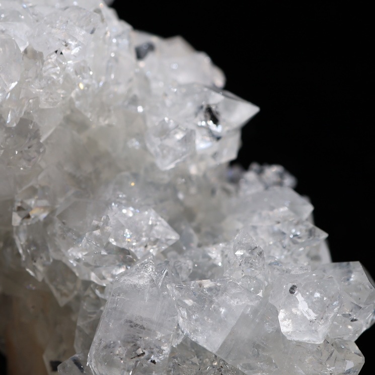 ���ݥե��饤�ȷ뾽���� �ǹ����