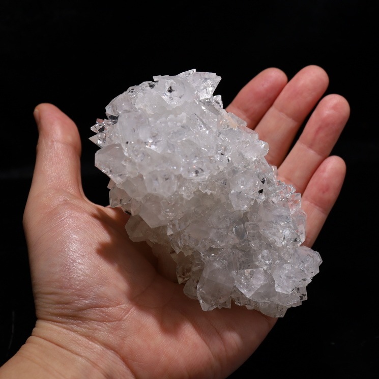 ���ݥե��饤�ȷ뾽���� �ǹ����