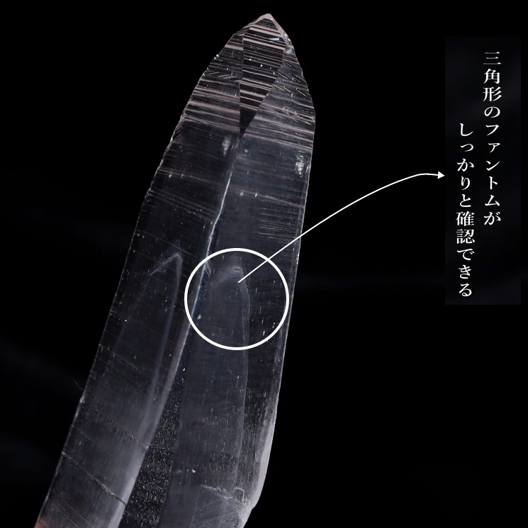 ���ꥢ�󥷡��ɿ徽 �ǹ��ʼ����Х����� No6