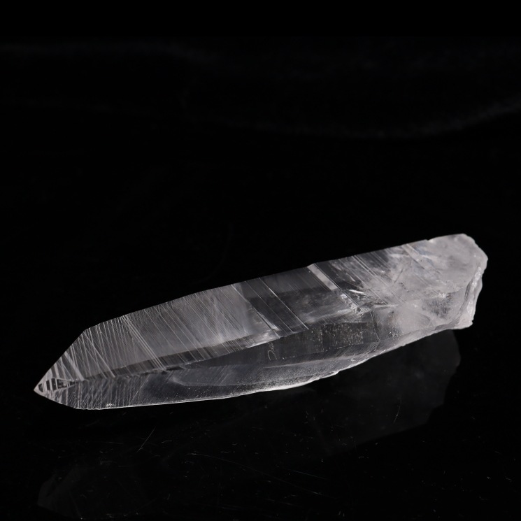 ���ꥢ�󥷡��ɿ徽 �ǹ��ʼ����Х����� No6