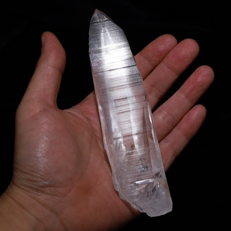 ���ꥢ�󥷡��ɿ徽 �ǹ��ʼ����Х����� No6