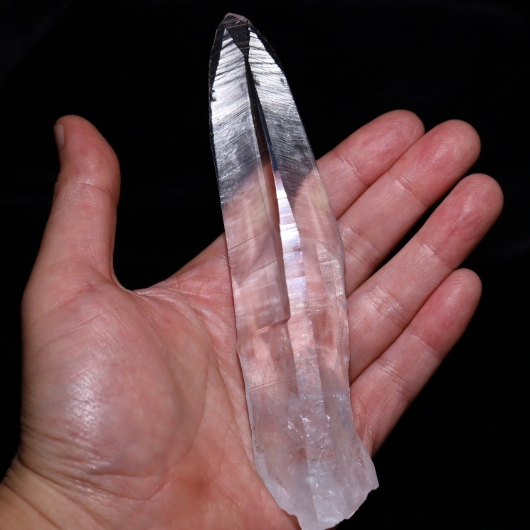 ���ꥢ�󥷡��ɿ徽 �ǹ��ʼ����Х����� No6