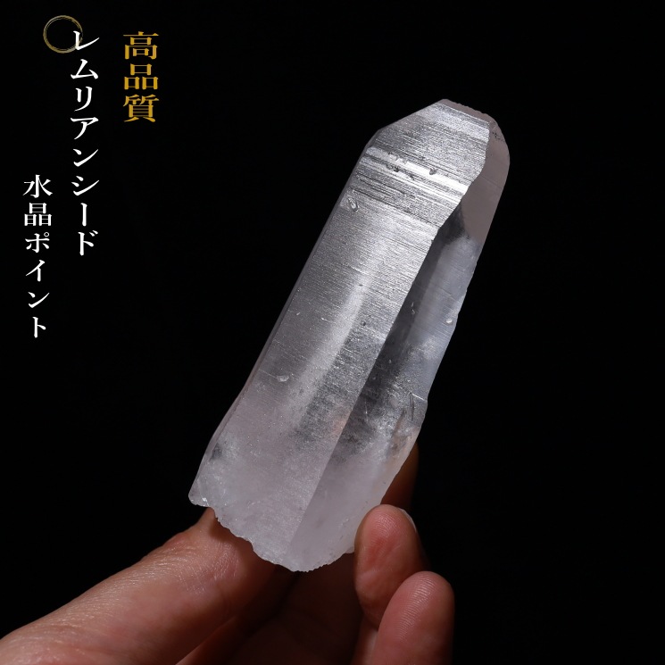 No41 ���ꥢ�󥷡��ɿ徽�ݥ���� ���ʼ������֥�뻺 (Serra do Cabral)