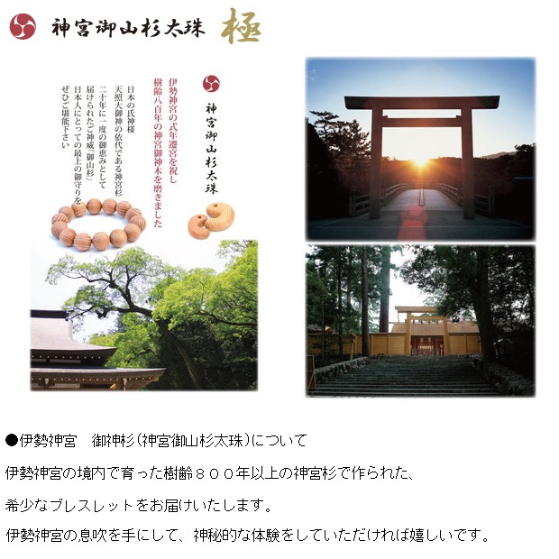 �������� ����ȥ�å� (���ܸ滳������) �祵����