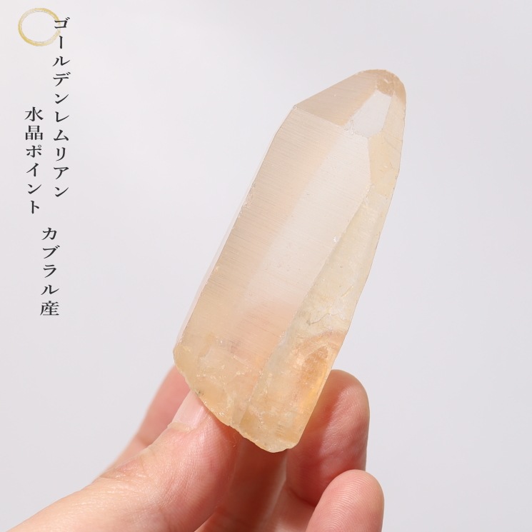 ������ǥ���ꥢ�󥷡��ɿ徽�ݥ���ȡ����֥�뻺 No��