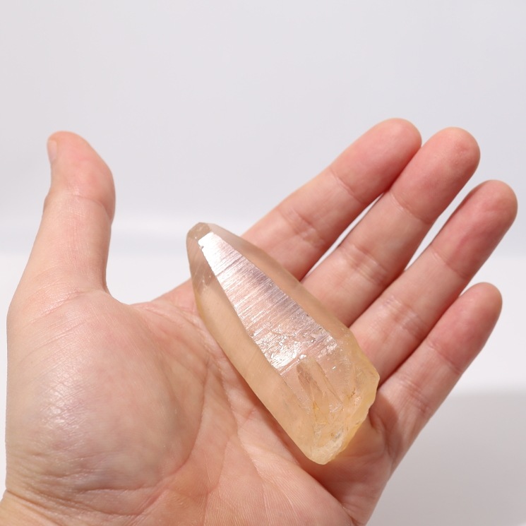 ������ǥ���ꥢ�󥷡��ɿ徽�ݥ���ȡ����֥�뻺 No��