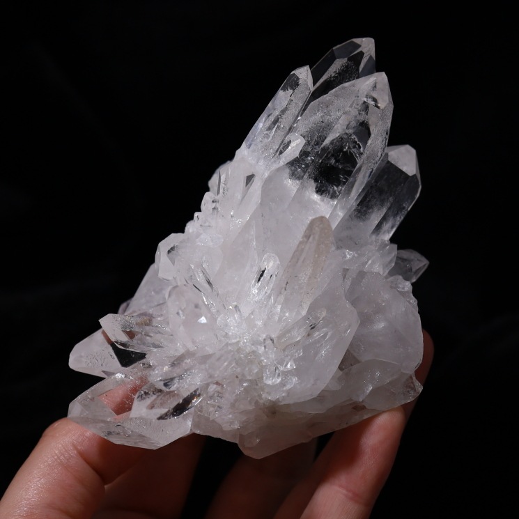 �ȥޥ����󥵥��� �徽���饹���� ���ʼ� ���դ� No.53