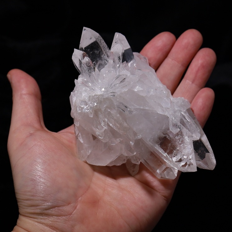 �ȥޥ����󥵥��� �徽���饹���� ���ʼ� ���դ� No.53