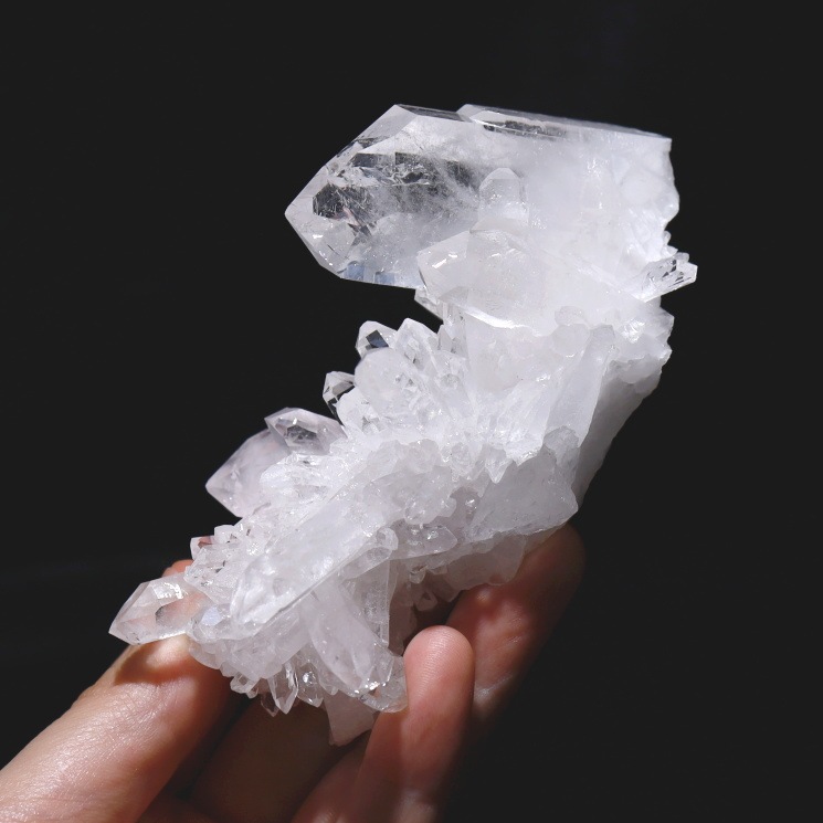 no44  �ȥޥ����󥵥��� �徽���饹���� ���ʼ�