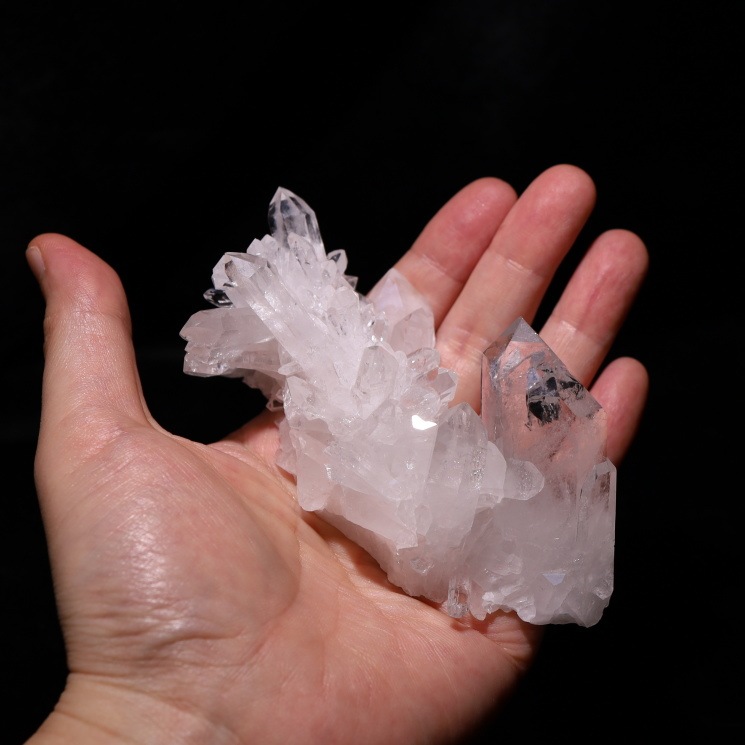 no44  �ȥޥ����󥵥��� �徽���饹���� ���ʼ�