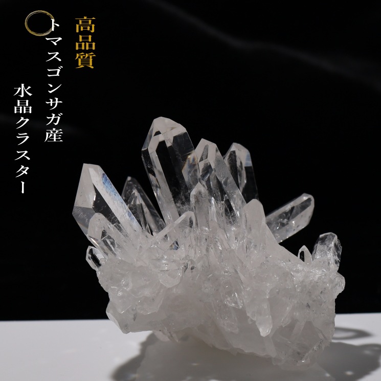 �ȥޥ����󥵥��� �徽���饹���� ���ʼ� No.47