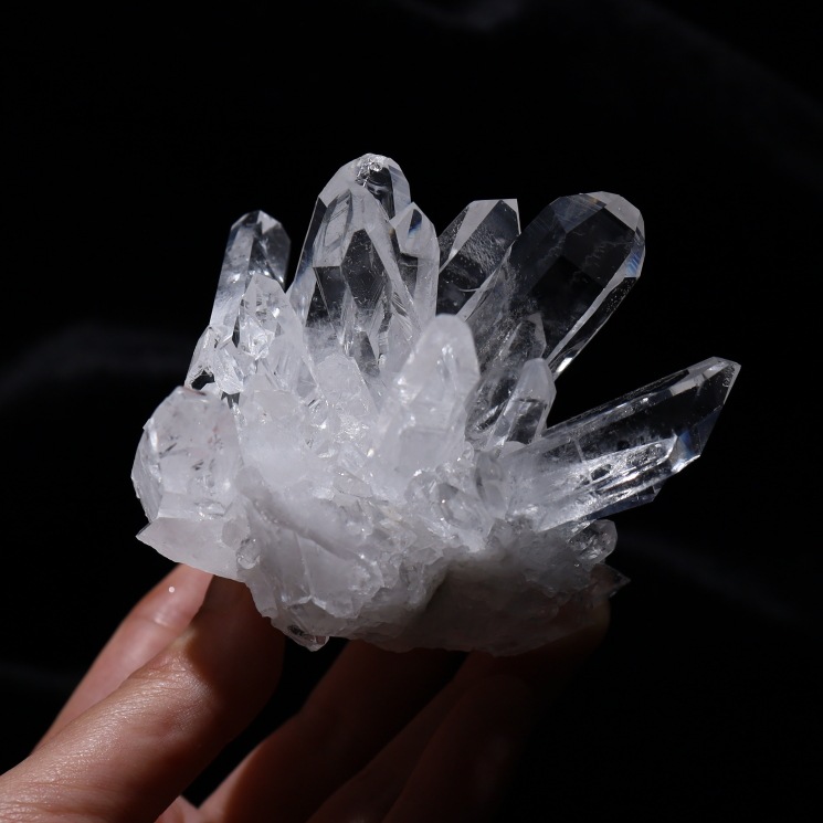 �ȥޥ����󥵥��� �徽���饹���� ���ʼ� No.47