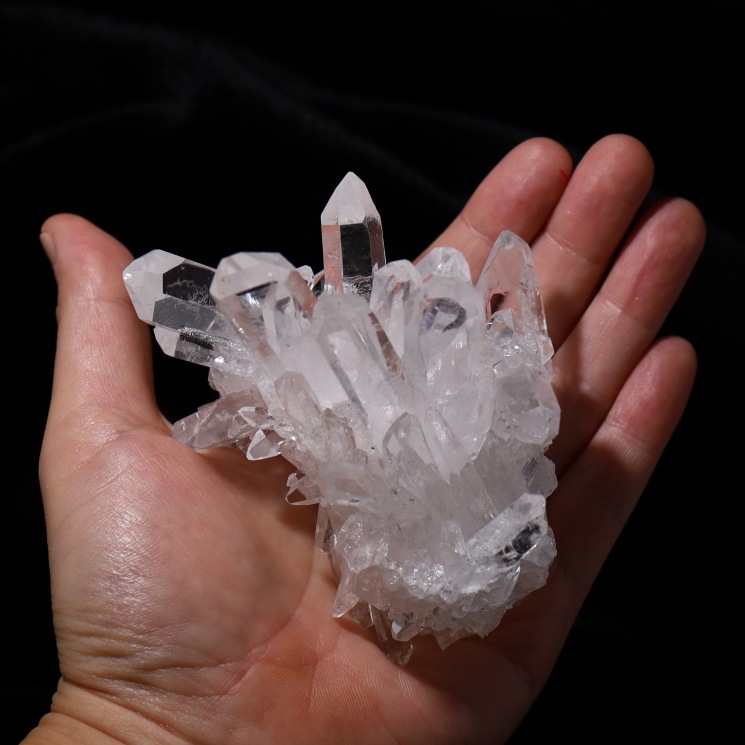 �ȥޥ����󥵥��� �徽���饹���� ���ʼ� No.47