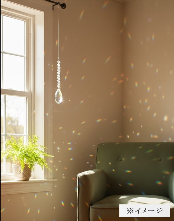 ŷ���徽 ���󥭥�å��㡼 ���饰���奢�꡼������ �̥���å�ͭ���