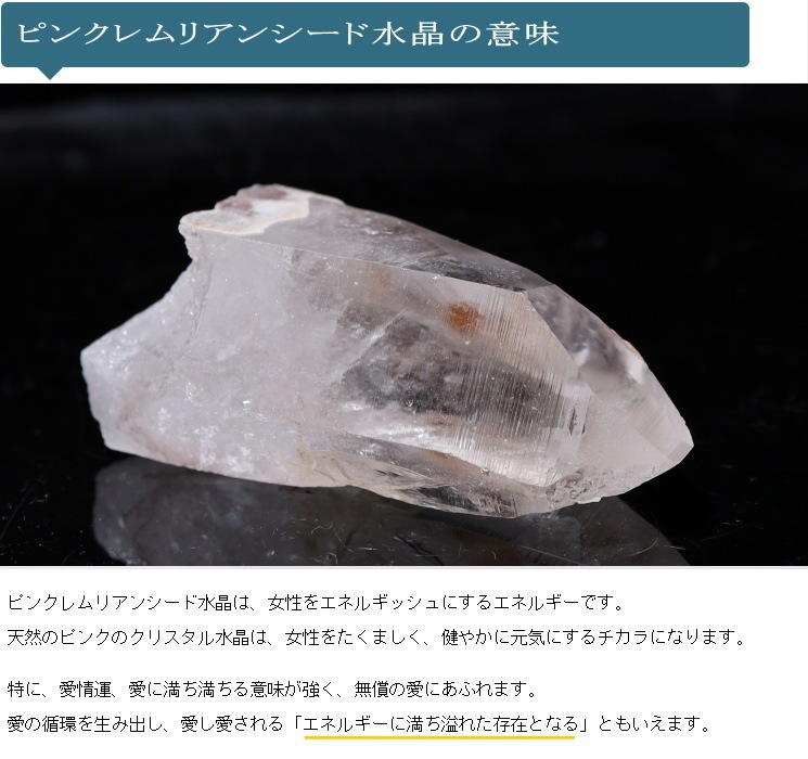 �ԥ󥯥��ꥢ�󥷡��ɿ徽�ݥ���ȡ��Х����� (Bahia) no��