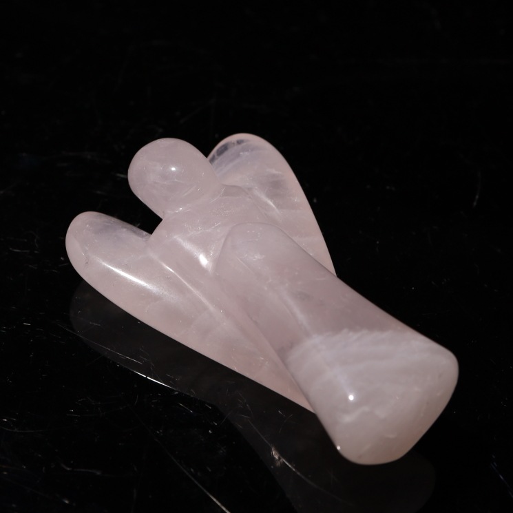 �������������Ĥ�ŷ�Ȥ���ʪ