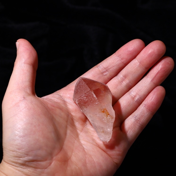 ԥ󥯥ꥢ󥷡ɿ徽ݥȡ Diamantina No15