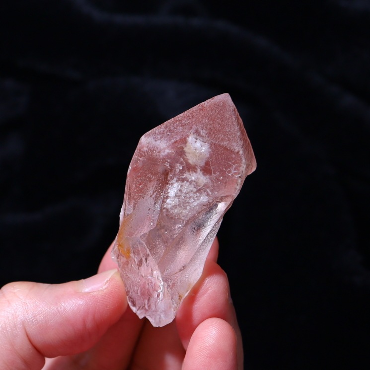 ԥ󥯥ꥢ󥷡ɿ徽ݥȡ Diamantina No15