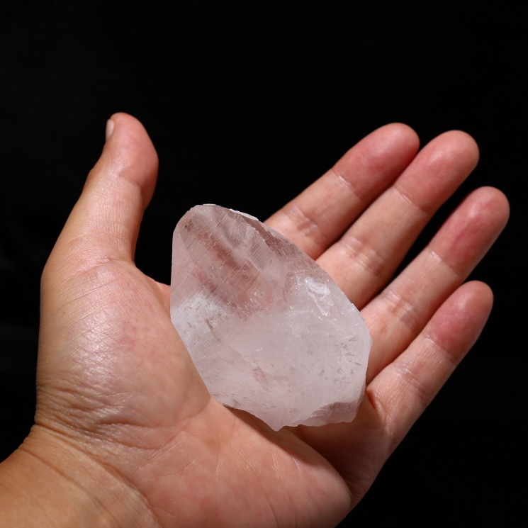 ԥ󥯥ꥢ󥷡ɿ徽ݥȡХ (Bahia) no