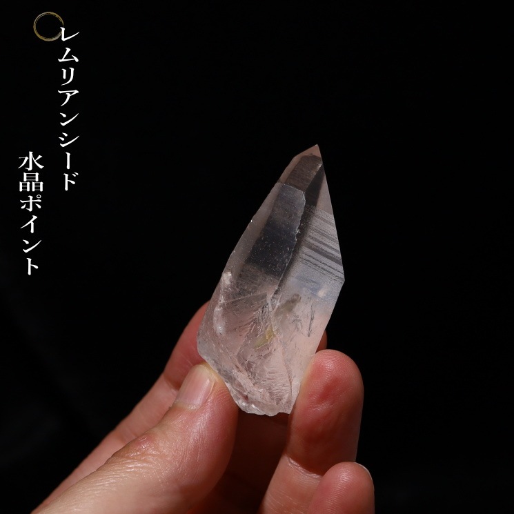 No22 ���ꥢ�󥷡��ɿ徽�ݥ���ȡ����֥�뻺 (Serra do Cabral)